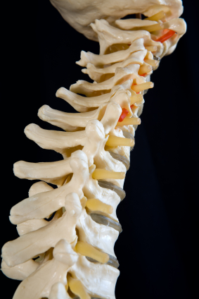 Spinal Repair | SpinalColumnBlog