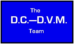 DC-DVM team